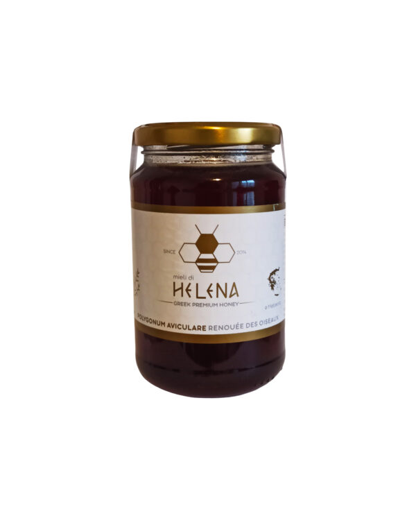 miel de renouée des oiseaux 470g